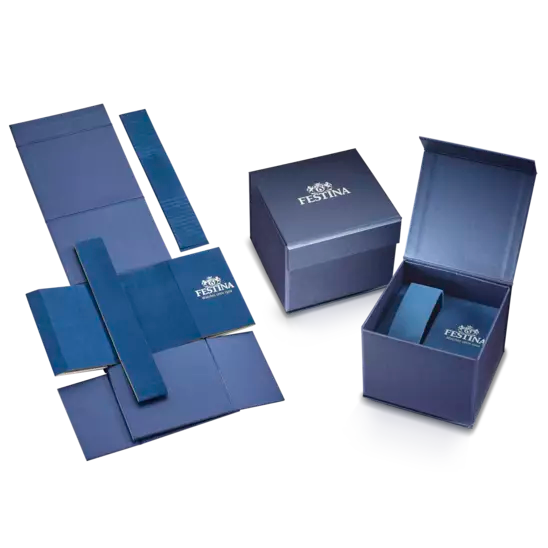 FESTINA HEREN BLAUW ZILVER TITANIUM LEER HORLOGE ARMBAND F20699/2