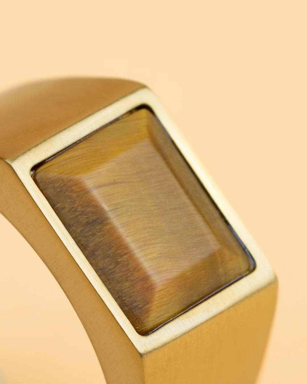 GEMENI TITANIUM CREDO RING MET TIJGEROOG