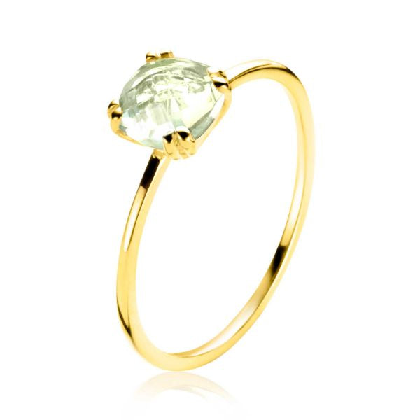 ZINZI Gold 14 karaat gouden ring ZGR376