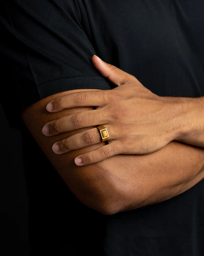 GEMENI TITANIUM CREDO RING MET TIJGEROOG