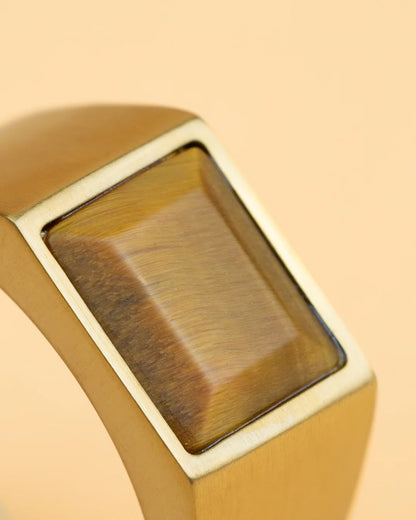 GEMENI TITANIUM CREDO RING MET TIJGEROOG
