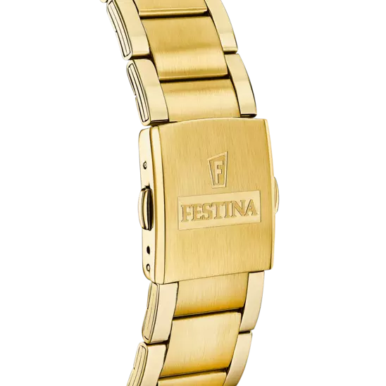 FESTINA HEREN HORLOGE GOUDKLEURIG F20633/1