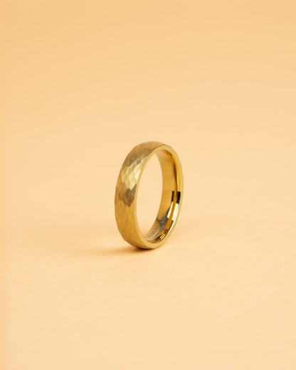 GEMINI Pulso 5mm Titanium ring with faceted gold finish
