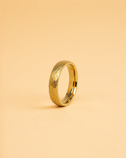 GEMINI Pulso 5mm Titanium ring with faceted gold finish